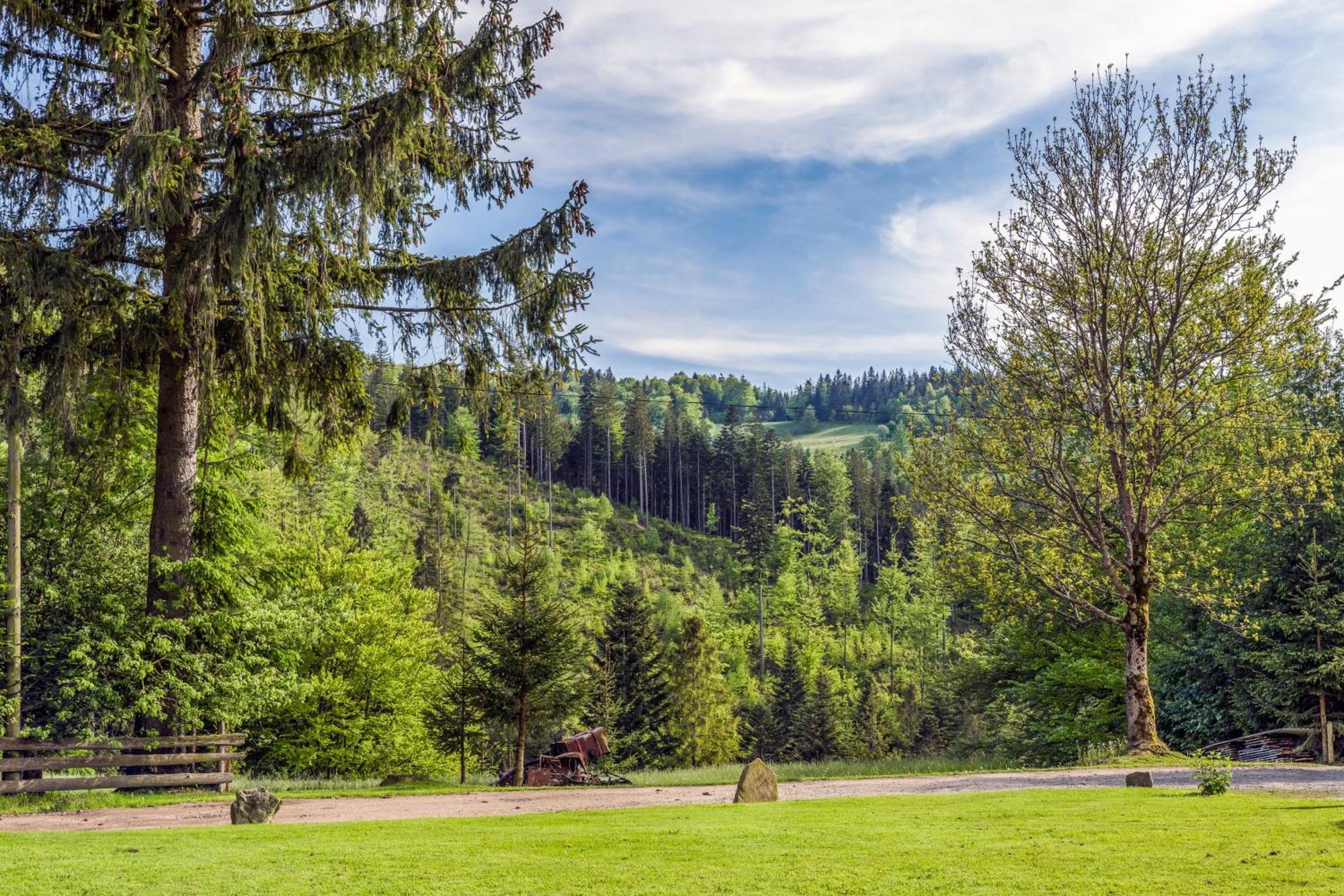 Pokoje U Marioli Wisła Esterno foto